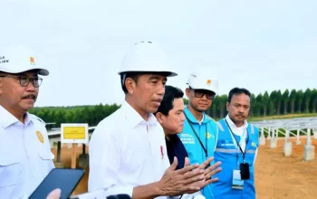 Presiden Jokowi Tegaskan Komitmen Pemerintah terhadap Keberlanjutan Pembangunan IKN 5 Presiden Jokowi Tegaskan Komitmen Pemerintah terhadap Keberlanjutan Pembangunan IKN