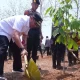 Penanaman 10 Juta Pohon, Menko PMK Muhadjir Effendy Terima Kasih ke Pj Gubernur Bahtiar