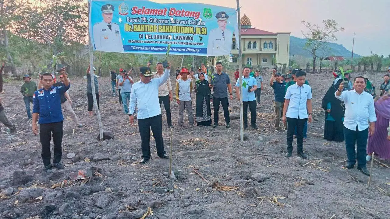 Kabupaten Sidrap Bakal Hadirkan Kawasan Budidaya Pisang