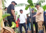 Tanam Beragam Jenis Hortikultura, Pj Gubernur Bahtiar Kunjungi Desa Damai di Sidrap