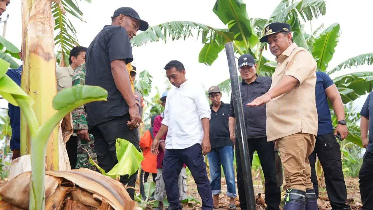 Tanam Beragam Jenis Hortikultura, Pj Gubernur Bahtiar Kunjungi Desa Damai di Sidrap