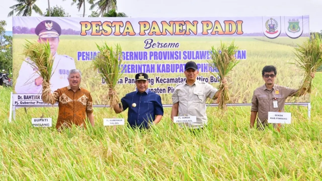 Petani Pinrang Pesta Panen Padi di Musim Kemarau, Pj Gubernur Optimistis Surplus 2 Juta Ton Beras Tercapai