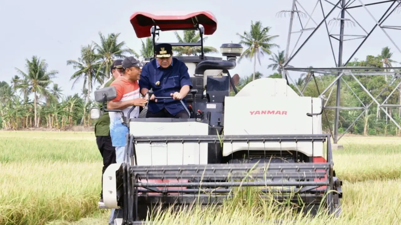 Petani Pinrang Pesta Panen Padi di Musim Kemarau, Pj Gubernur Optimistis Surplus 2 Juta Ton Beras Tercapai