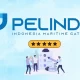 Pelindo Regional 4