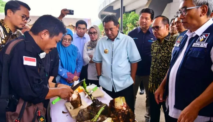 Tingkatkan Pendapatan-Kesejahteraan Penyuluh Pertanian, Pj Gubernur Dorong Tanam Pisang