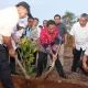 Penanaman Bibit Nangka Madu di Bulukumba, Pj Gubernur Bahtiar: Jangan Biarkan Lahan Kosong