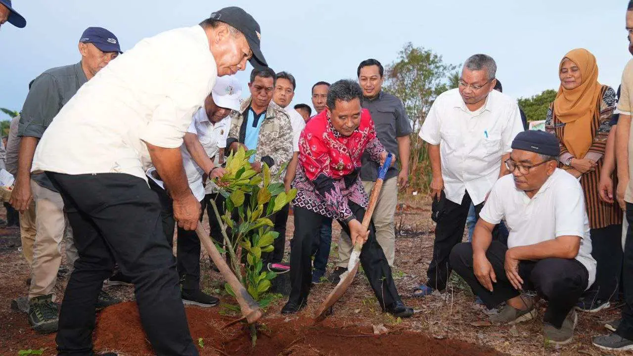 Penanaman Bibit Nangka Madu di Bulukumba, Pj Gubernur Bahtiar: Jangan Biarkan Lahan Kosong
