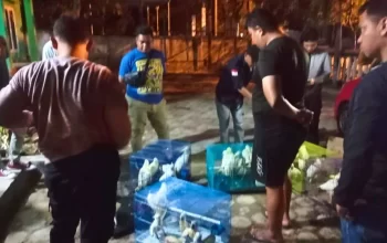 Gakkum KLHK Tangkap Pelaku Penyelundupan Berikut Barang Bukti 32 Ekor Burung Dilindungi
