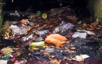 Terima Laporan Warga Terkait Drainase, Camat Manggala Langsung Terjunkan Satgas 8 Terima Laporan Warga Terkait Drainase, Camat Manggala Langsung Terjunkan Satgas