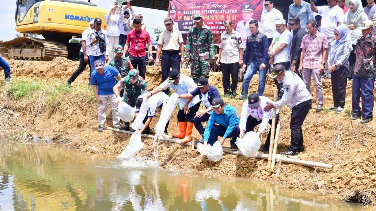 Tingkatkan Ketahanan Pangan, 50.000 Benih Nila Dilepas di Embung Kecamatan Mare 2 Tingkatkan Ketahanan Pangan, 50.000 Benih Nila Dilepas di Embung Kecamatan Mare