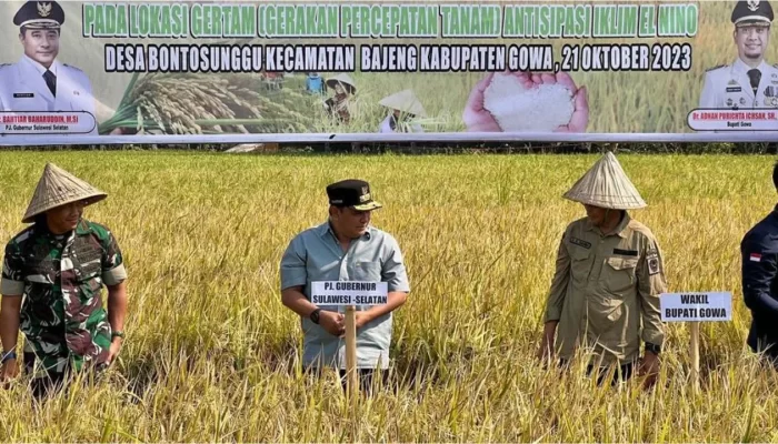 Tetap Panen di Tengah Kekeringan Akibat El Nino, Pj Gubernur Sulsel Puji Petani Bajeng