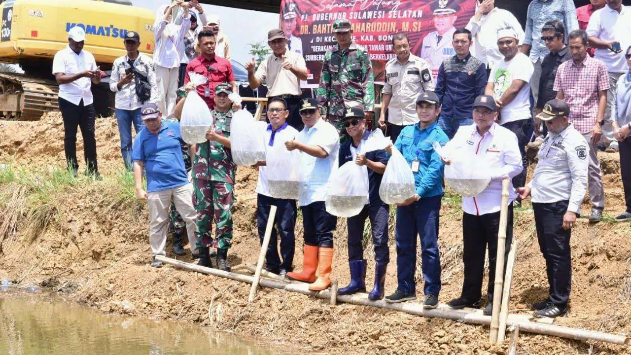 Tingkatkan Ketahanan Pangan, 50.000 Benih Nila Dilepas di Embung Kecamatan Mare