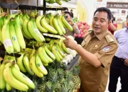 Sulsel Siap Penuhi Kebutuhan Pisang Cavendish Nasional Hingga Ekspor