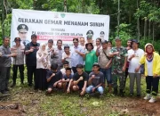 10 Ribu Pohon Sukun Bakal Ditanam di Rammang-rammang, Maros