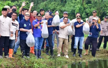 8.000 Bibit Ikan Nila Ditebar di Kampus Biru Unismuh