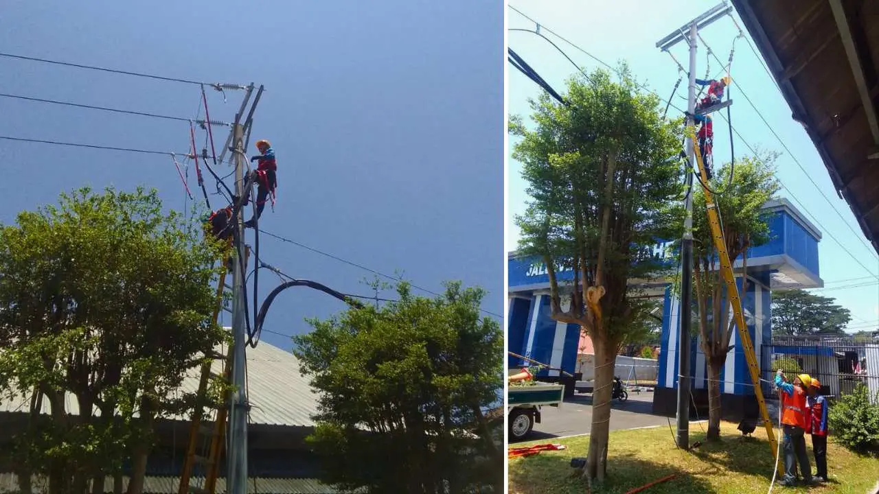 Antisipasi Musim Hujan, PLN & PLN Icon Plus Lakukan Langkah Preventif untuk Tingkatkan Keandalan