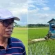 Program Electrifying Agriculture, Sukses Tingkatkan Produktivitas 3.290 Petani di Sulselrabar