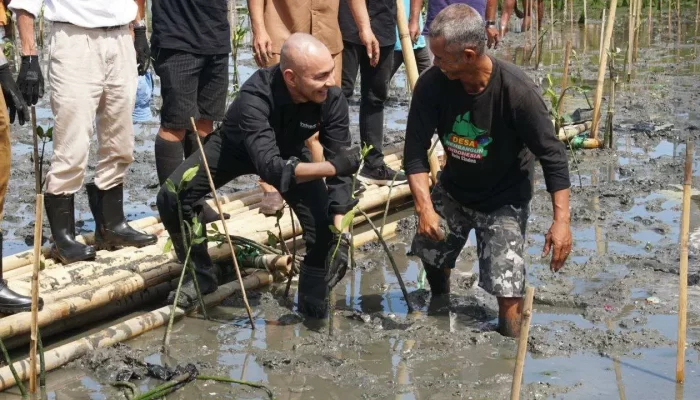 Program Desa Digital IM3 Dorong Transformasi Digital UMKM di Desa Bulu Cindea