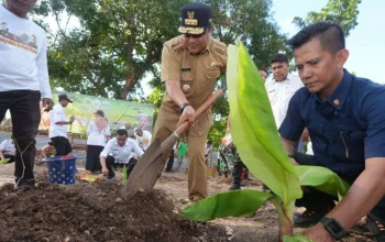 Pimpinan Ponpes DDI Mangkoso Dukung Budidaya Pisang Cavendish, Sejalan Program Pesantren 7 Pimpinan Ponpes DDI Mangkoso Dukung Budidaya Pisang Cavendish, Sejalan Program Pesantren