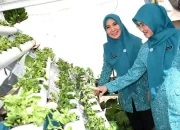 Sekretaris Umum PKK Pusat Puji Gerakan Tanam Cabai di Sulsel untuk Turunkan Inflasi