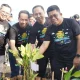 PT Semen Tonasa & Pemkab Buleleng Tanam 7000 Mangrove di Kawasan Pantai Pidada