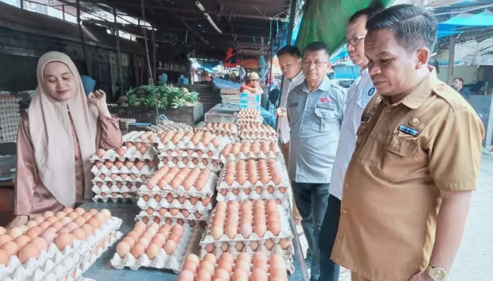 Cek Harga Bahan Pokok Jelang Nataru Bersama BI, Karo Ekbang Sulsel: Harga Stabil, Inflasi Tetap Terkendali