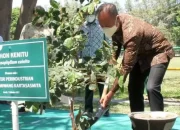 Pentingnya Penerapan ESG bagi Industri dalam Mewujudkan Keberlanjutan dan Ketahanan