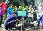 Terima Saran Pj Gubernur Sulsel, PT Vale Akan Tanam Sukun untuk Rehabilitasi Lahan Tambang