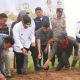 Pj Gubernur Sulsel Ikut Tanam Kentang Bersama Petani Tinggimoncong