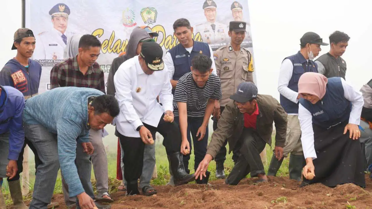 Pj Gubernur Sulsel Ikut Tanam Kentang Bersama Petani Tinggimoncong