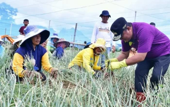 Ada Ajari Cara Panen dan Kisahkan Biaya Kuliah Anak