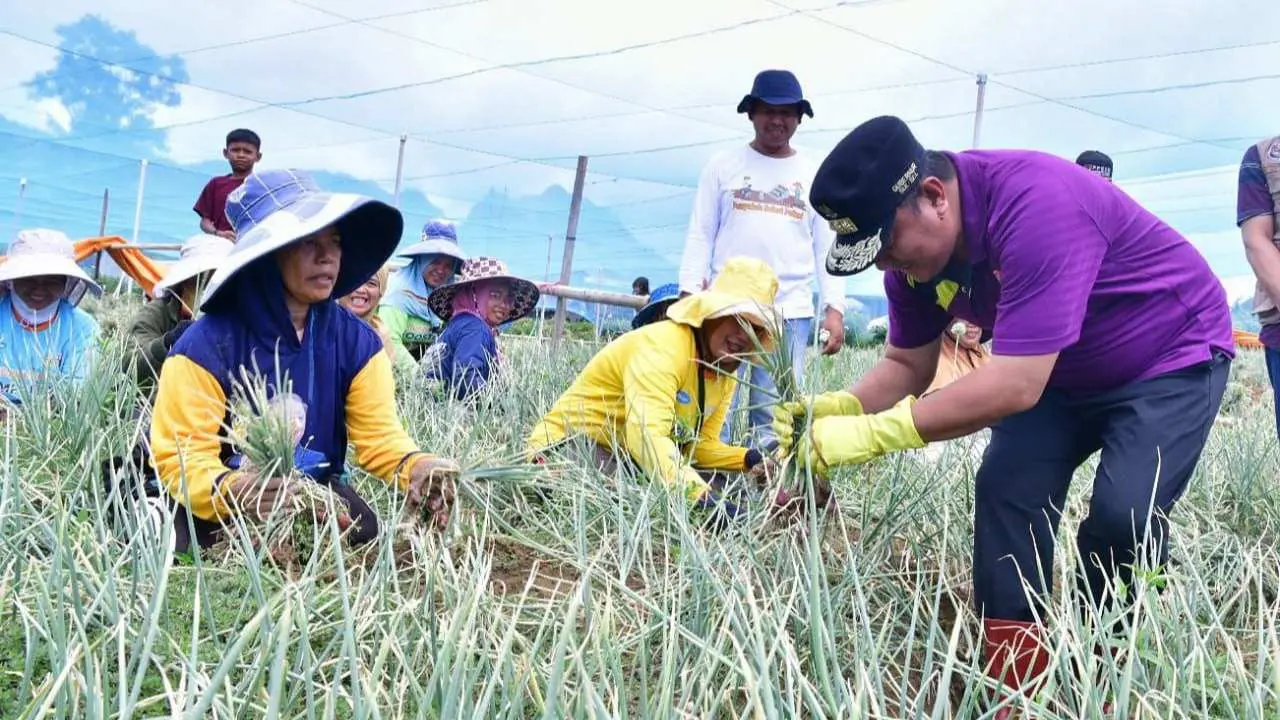 Ada Ajari Cara Panen dan Kisahkan Biaya Kuliah Anak