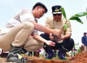 Menanam Bersama Pj Gubernur Sulsel, Petani Milenial Ikut Galakkan Budidaya Cavendish