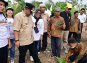 Pj Gubernur Sulsel Kembali Ajak Santri Terlibat Budidaya Pisang Cavendish