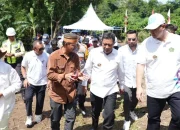 Dimulai dari Desa Biringere, Kades di Pangkep Yakin Masyarakat Tertarik Tanam Pisang Cavendish