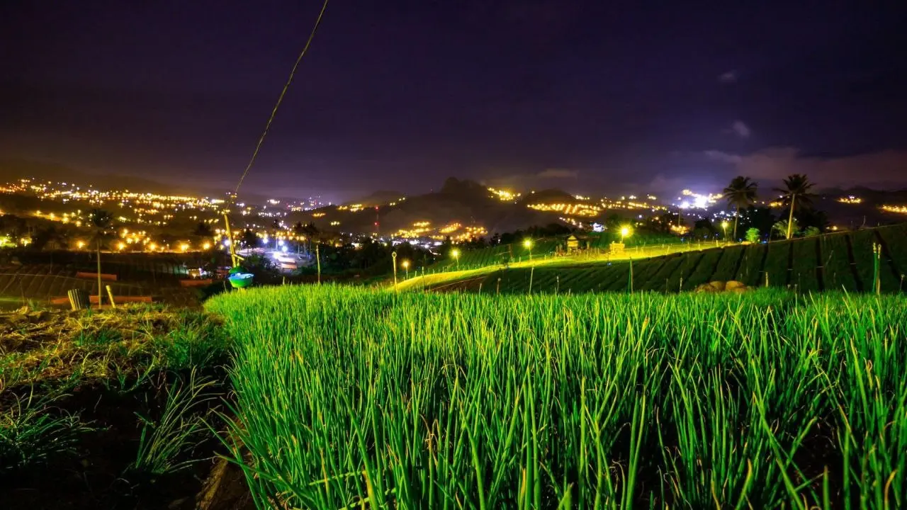 Kaleidoskop 2023: Ribuan Petani di Sulselrabar Nikmati Manfaat Program Electrifying Agriculture PLN