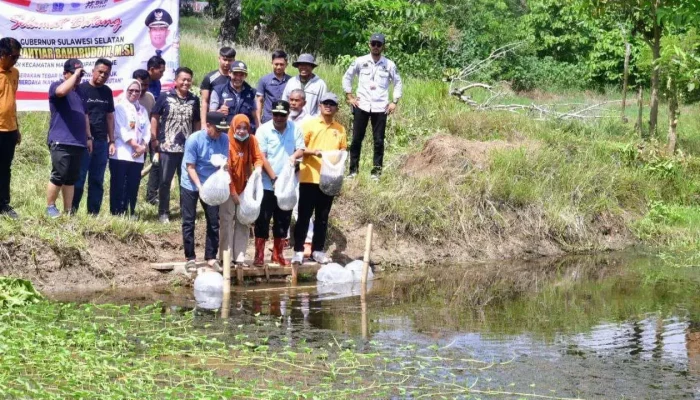 20 Ribu Bibit Ikan Nila Kembali Ditebar di Bone