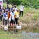 20 Ribu Bibit Ikan Nila Kembali Ditebar di Bone