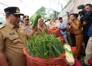 Awal Tahun, Harga-Stok Kebutuhan Pokok di Pasar Tradisional Stabil