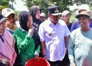 Kreativitas Petani Desa Buae Sidrap, Tanam Pisang Cavendish Tumpang Sari dengan Kacang Tanah