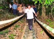 Tekad Pj Gubernur Bahtiar Galakkan Budidaya Pisang Cavendish Hingga Jalan Kaki Lewati Titian Bambu