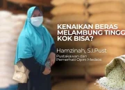Kenaikan Beras Melambung Tinggi, Kok Bisa?