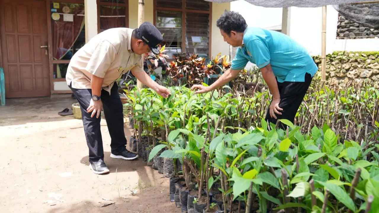 Pj Gubernur Sulsel Cek Lokasi Pembibitan Sukun yang Diinisiasi Kelompok Tani Desa Samaenre