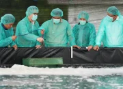 Pemprov Sulsel—PT Bomar Kembangkan Benur Udang untuk Warga Pesisir