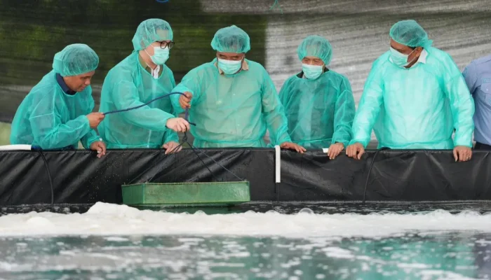 Pemprov Sulsel—PT Bomar Kembangkan Benur Udang untuk Warga Pesisir
