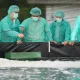 Pemprov Sulsel—PT Bomar Kembangkan Benur Udang untuk Warga Pesisir