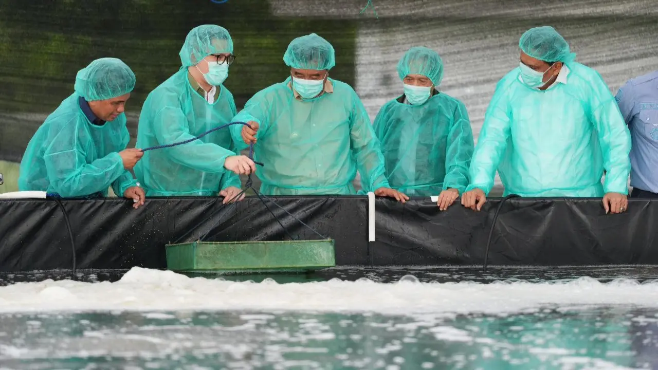 Pemprov Sulsel—PT Bomar Kembangkan Benur Udang untuk Warga Pesisir