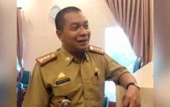 Plh Kepala DMPTSP Sulsel, Idham Kadir