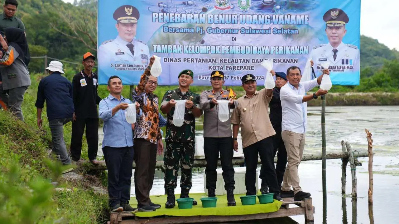 Pj Gubernur Ketua TP PKK Sofha Marwah Bahtiar Tebar Benih Udang Vaname, Tanam Pisang Cavendish