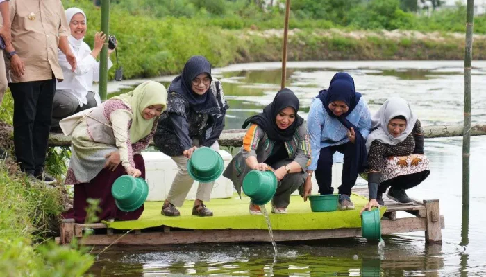 Pj Ketua PKK Sulsel Tebar Benur Udang Vaname dan Tanam Pisang Cavendish di Kota Parepare